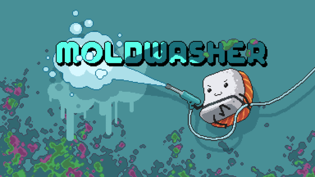 Moldwasher_Promo